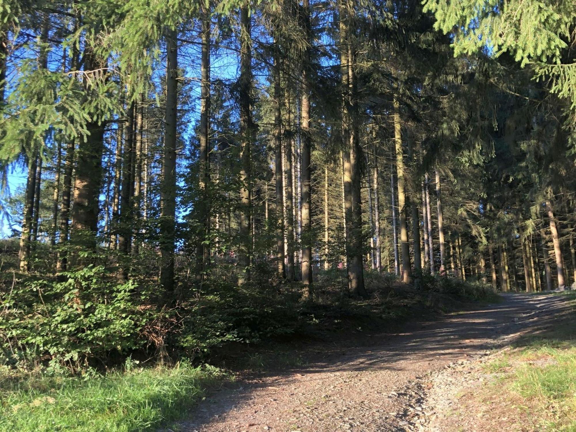 Ferienwohnungen Familie Schauerte Schmallenberg Exteriör bild