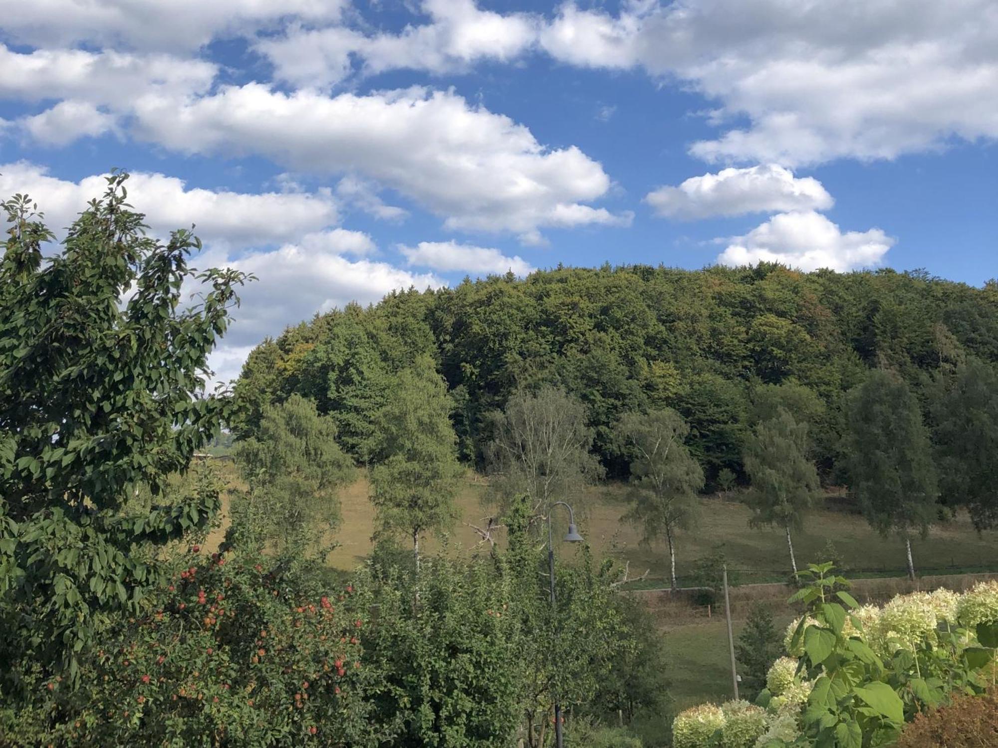 Ferienwohnungen Familie Schauerte Schmallenberg Exteriör bild